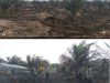 Diduga Lahan Sawit Milik PT. GUP di Desa Kemang Terbakar di Lalap si Jago Merah Screenshot_2023-08-30-15-45-12-31_965bbf4d18d205f782c6b8409c5773a4