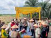 Panen Raya Jagung Serentak Kuartal II Tahun 2026 Mendukung Ketahanan Pangan