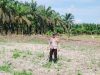 Kapolsek Kerumutan Pastikan Lahan Jagung Program Ketahanan Pangan Siap Panen September