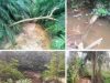 Diduga PT Serikat Putra Rusak DAS Sungai Air Terjun dan Sungai Kerumutan: Yayasan YPPLHI Minta Polres Pelalawan Segera Usut