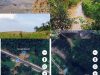 YPPLHI Akan Laporkan PT Inti Indosawit Subur ke Polres Pelalawan Atas Dugaan Perusakan DAS Sungai Empang Kerinci dan Sungai Kerinci