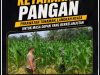 Jagung 1 Hektare di Bukit Gajah Tumbuh 1 Meter, Polsek Ukui Kawal Ketahanan Pangan Kelompok Cinta Tani