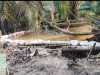 Diduga Limbah Pabrik Kelapa Sawit PT Inti Indosawit Subur Cemari Sungai Kerinci