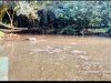 Ketua YPPLHI Minta APH dan DLH Investigasi Dugaan Pencemaran Sungai Kerinci
