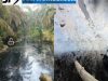 Diduga Limbah PKS PT Inti Indosawit Subur Kembali Cemari Sungai Kerinci, DLH Pelalawan Janji Tindak Lanjuti